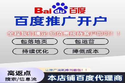 百度推广竞价全解析：某电商平台的营销策略